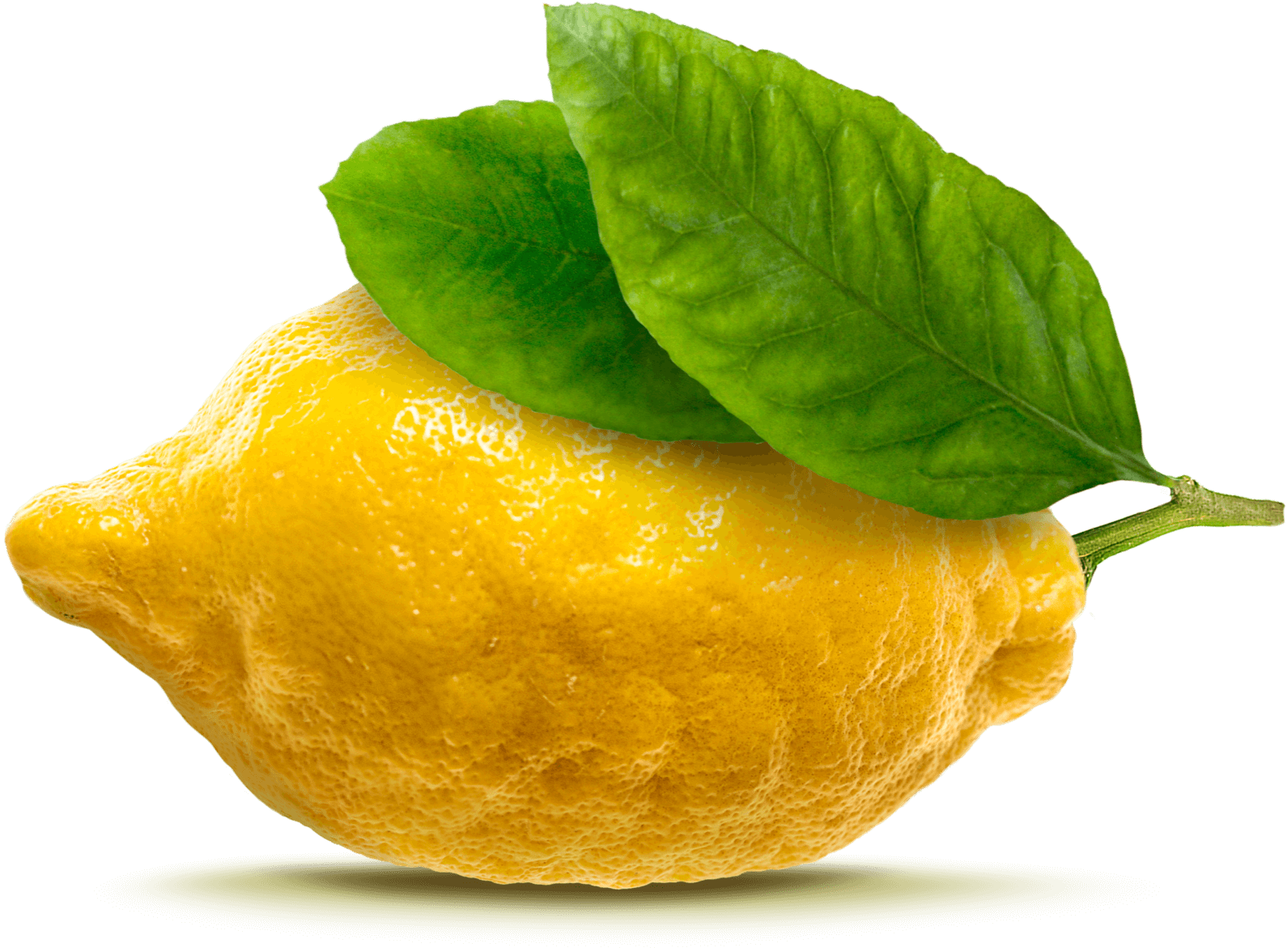 Limoncello di Capri - Sorrento lemon PGI